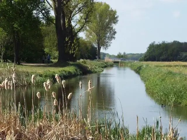 hertogswetering