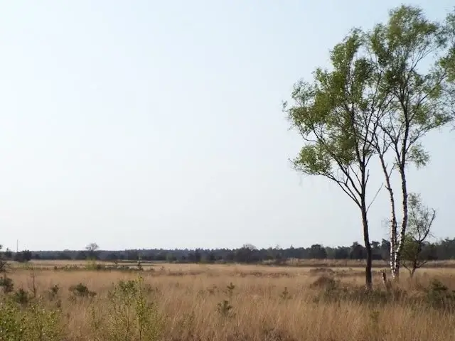 view near the veeven