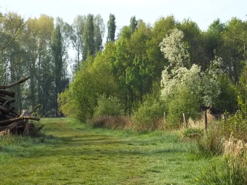 path in the brook valley of the dommel