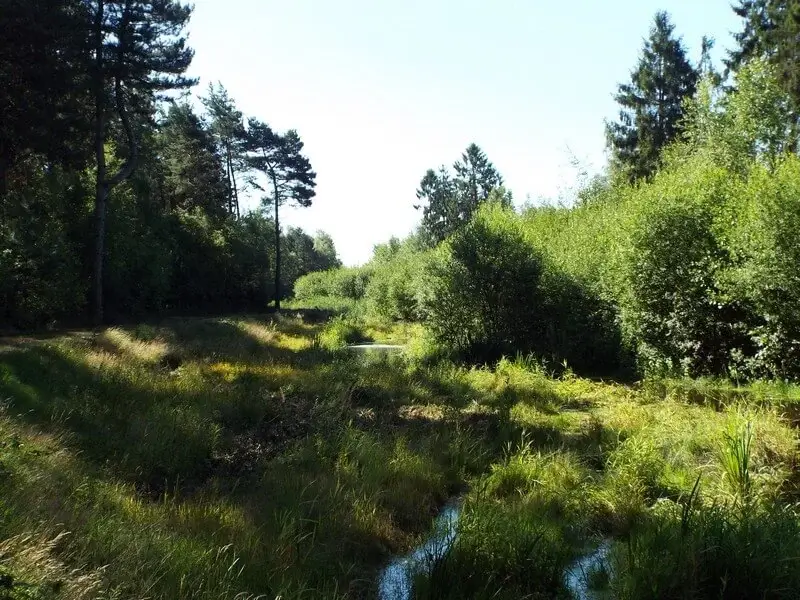 Nederpeel brook