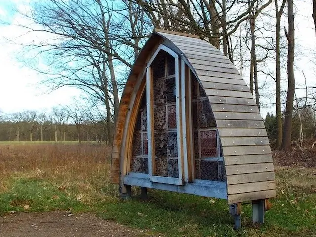 bee hotel
