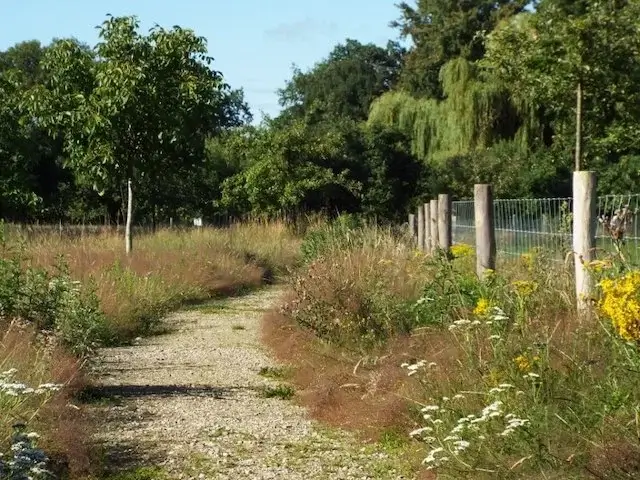 nice path