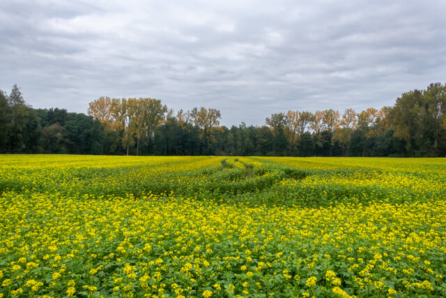 Hageland valley