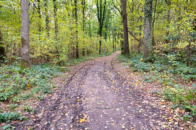Alsberg route