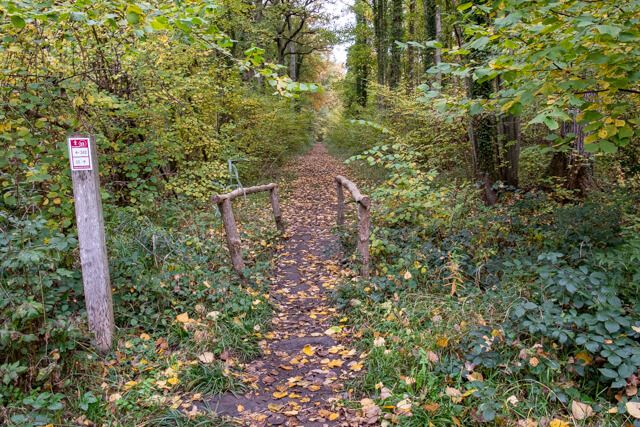 Alsberg route