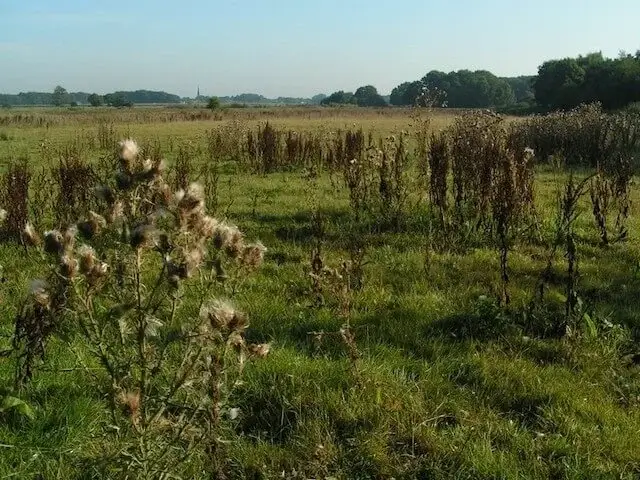 view over the riels laag