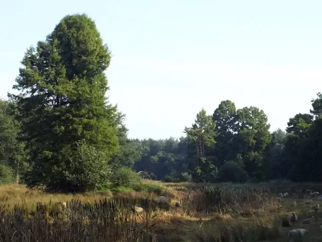 brookvalley of the leij