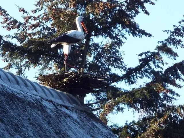 namesake of forest area Ooijevaarsnest