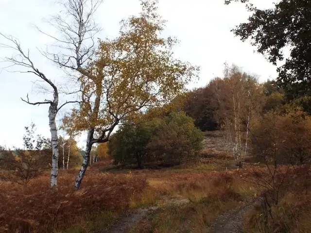 meinweg national park