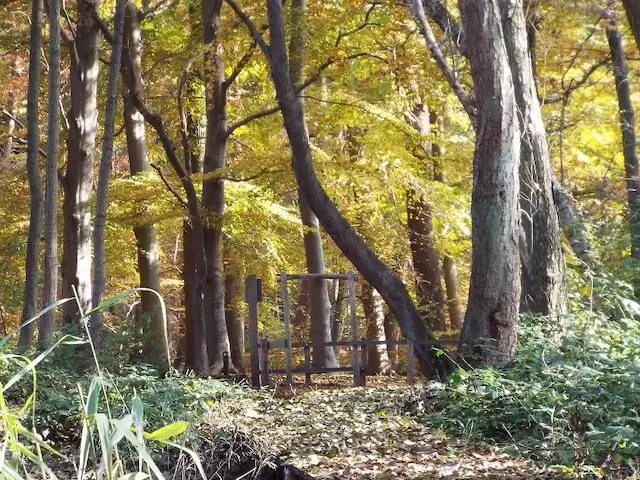near the red brook