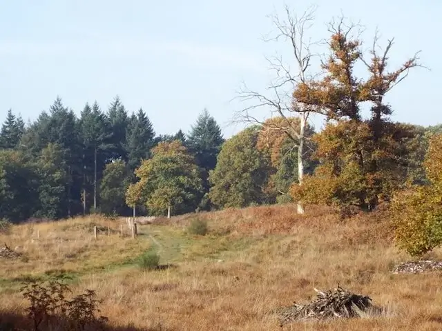 meinweg national park
