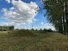 bonte polder