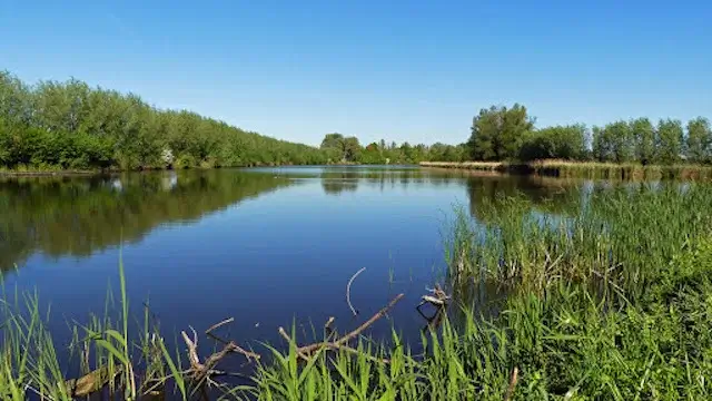 Canisvlietsche Kreek