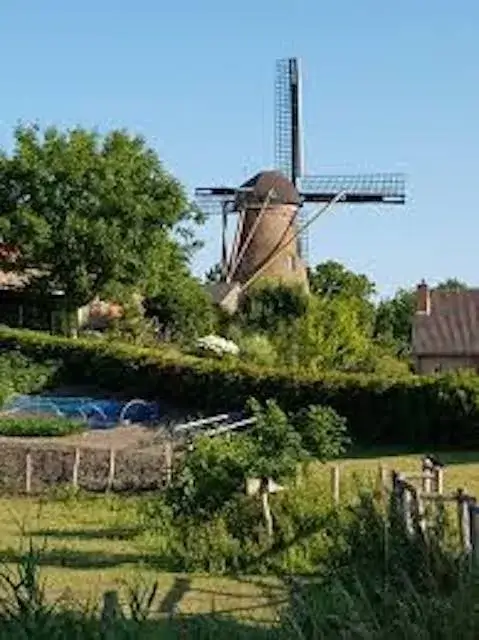 molenberg with the harmonie mill in the background