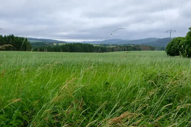 plateau of walhausen