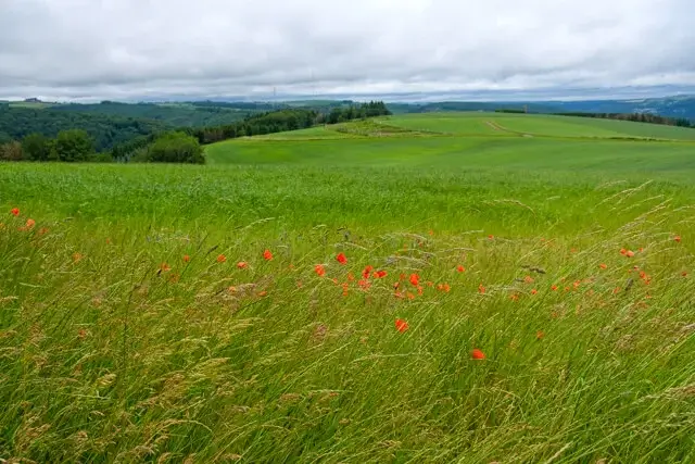 plateau of walhausen
