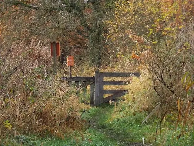 smaldonk nature reserve