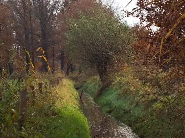 watercourse in Smaldonk