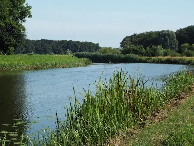 Halsche Beemden