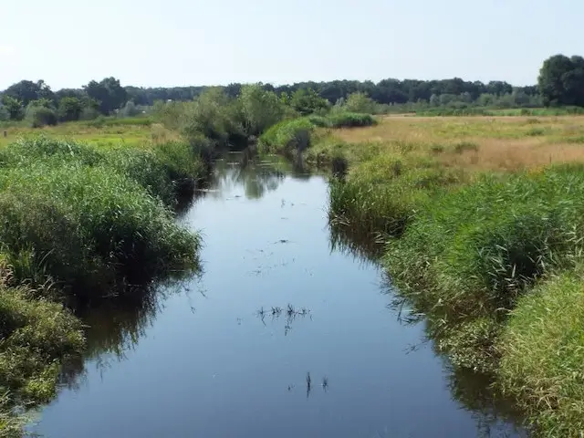 brook in halsche beemden