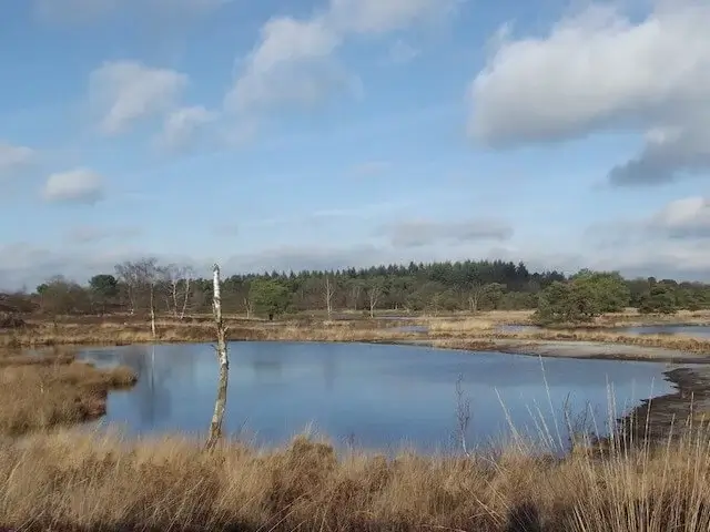 zevenboomsven