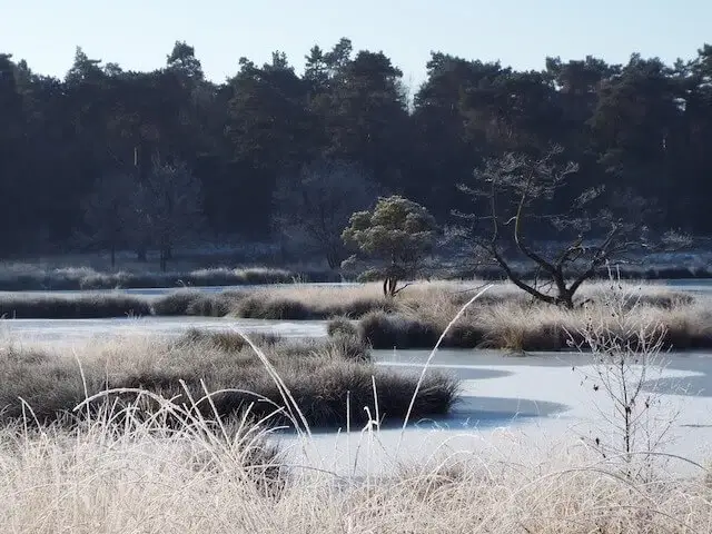 duuvelskuul in the winter