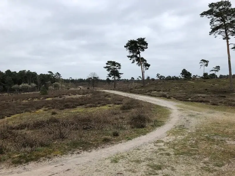 path in the afferdense duinen nature reserve