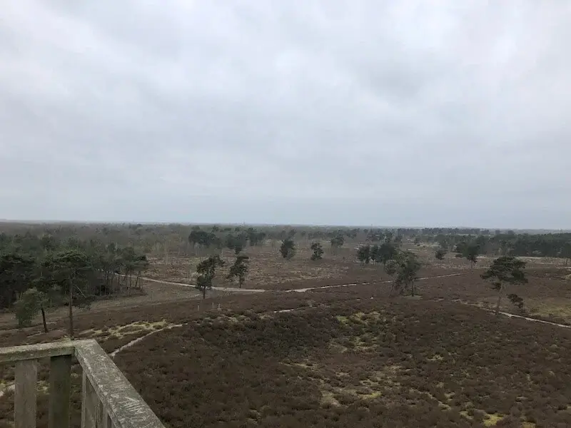 view from the watch tower
