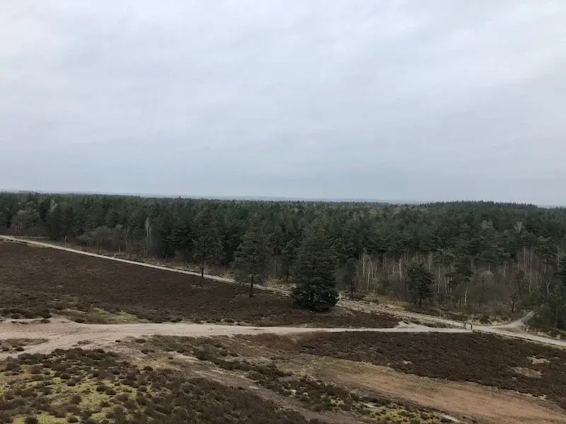 view from the watch tower