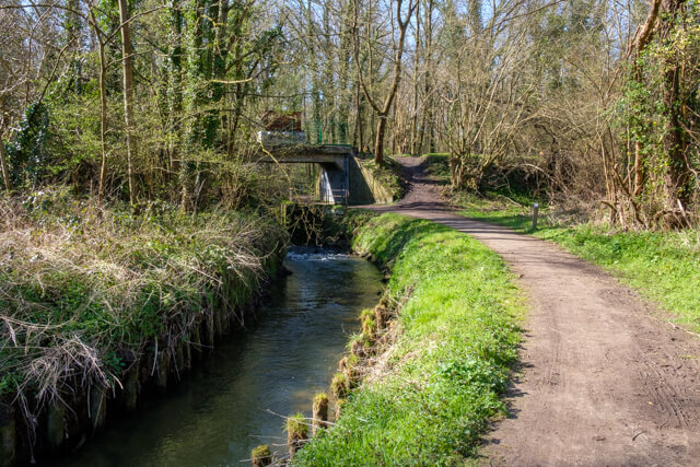 Margijs walk