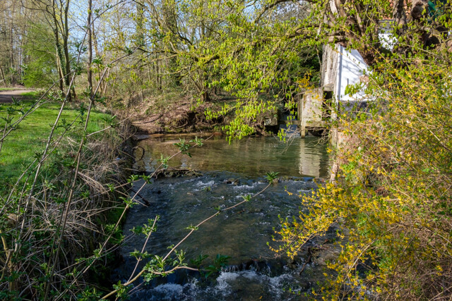 Margijs walk