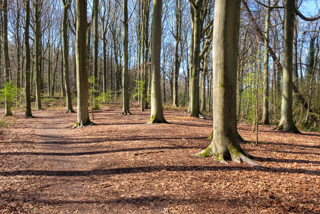 Margijs walk