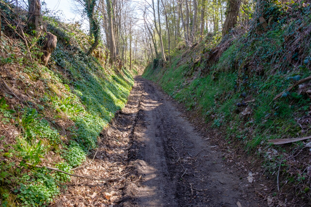 Margijs walk
