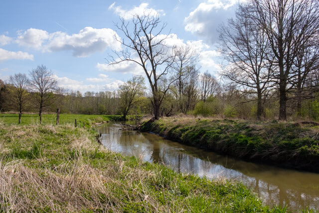 Margijs walk