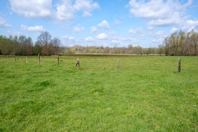 Margijs walk