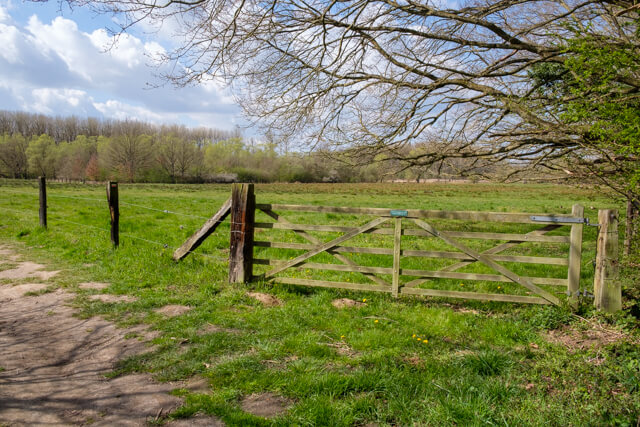 Margijs walk