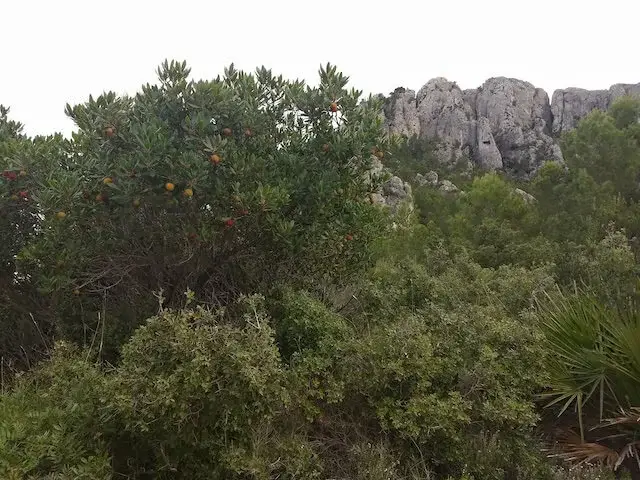 rugged rock formations