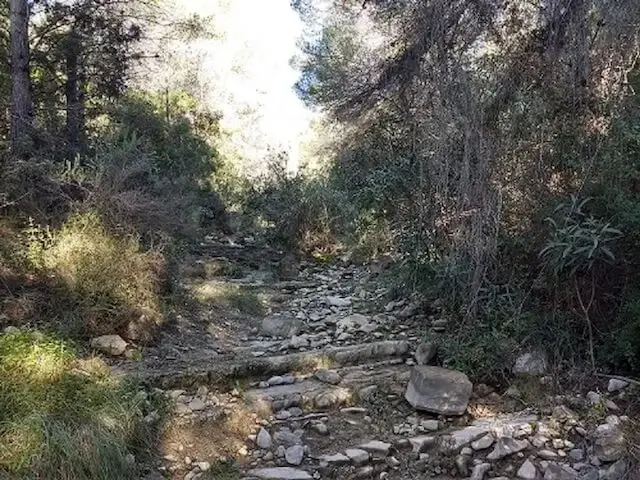 stony path