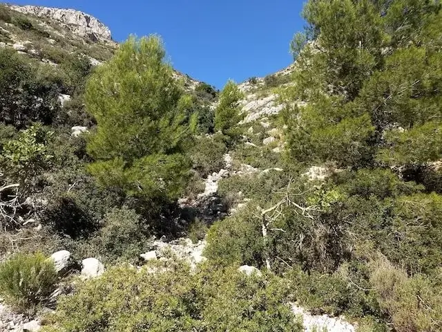 rough terrain