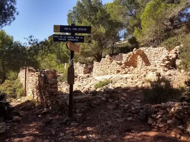 signposts