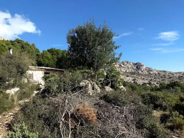 Casita de Borja