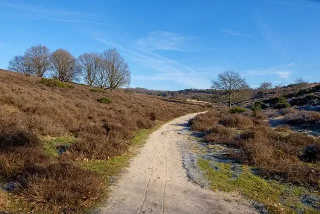 nice path in the herikhuizerveld