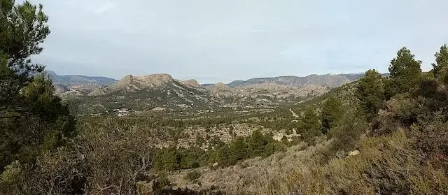 panoramic view