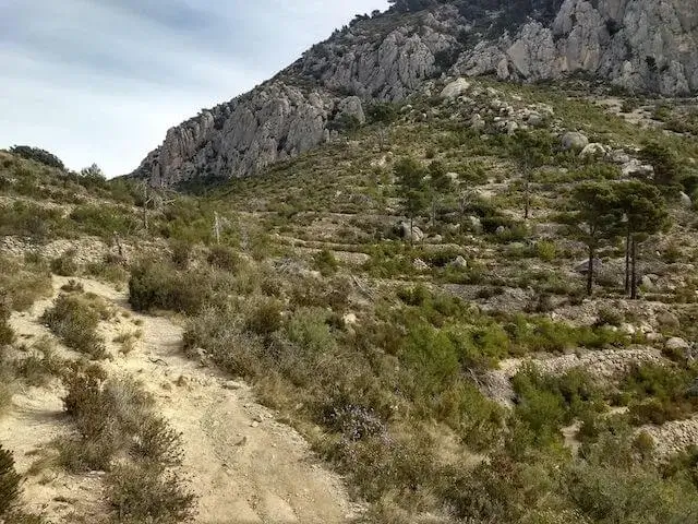 small path on the flank