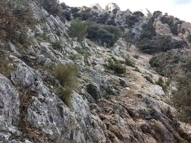 steep path to the top