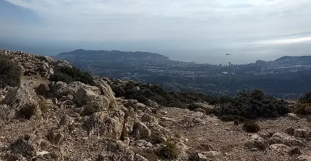 view from the top
