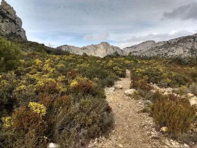 small mountain path