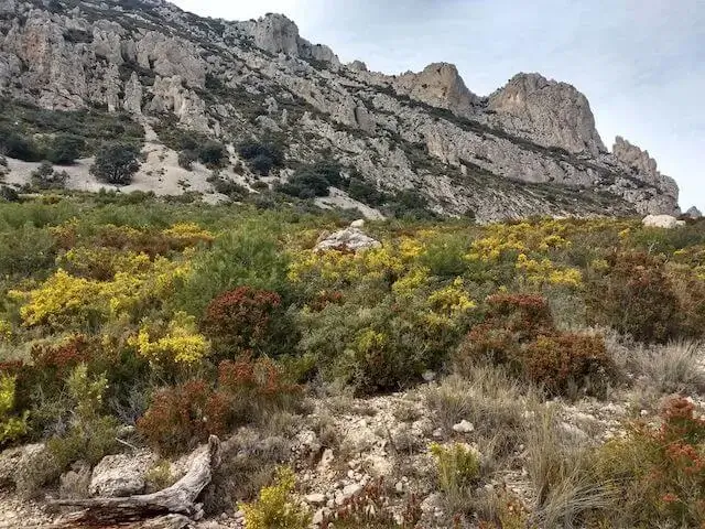 view of the Puig Campana