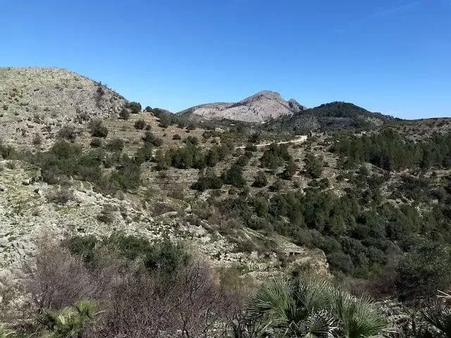 nice view on the mountains