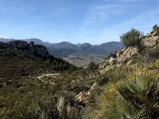 nice view